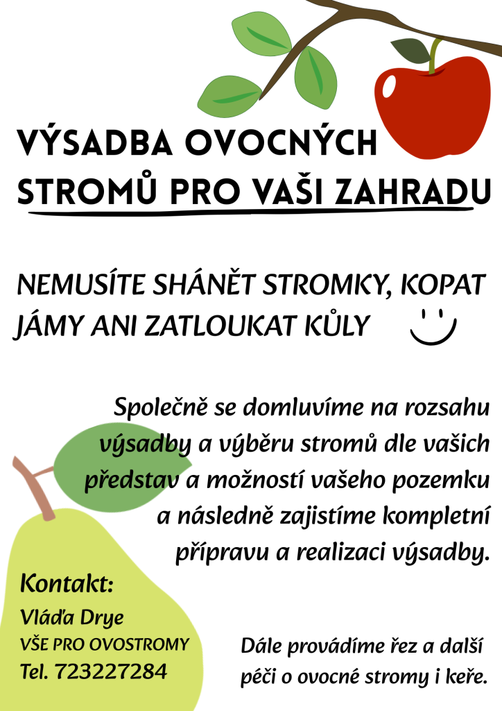 výsadba ovocných stromů
